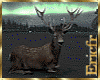 [Efr] Deer 1Night