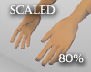 80% Hands