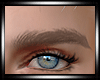 Blonde Eyebrows