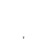LUZ NEGRA