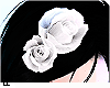 !EE♥ Flower White