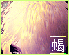 'S|| Akira ; Blonde