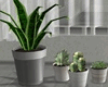 Modern Plants Set V3