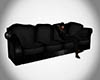 !Z! Black Couch