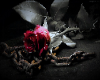 gothic rose back ground
