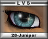 LVSPARKLEIs-Juniper