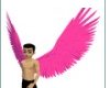 pink wings