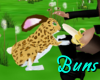 ~B~ Buns Cabbit Feeding