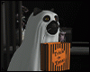 ghost halloween cat
