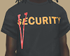 V Security