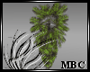 MBC|Palm Tree Mesh