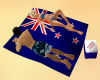 G* NZ Sun Towel