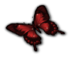 Red butterfly R