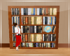 Book Shelves