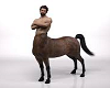 Centaur 1/2 horse1/2man