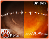 [Pets] Saber |eyes 2tone