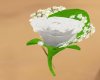 white flower bountonnie