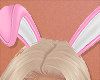 $ Bunny Ears Pink