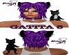 Gatita 8