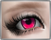 ~: Basics: Hot Pink F :~