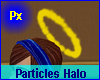 Pk Particles Halo