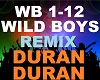 Duran Duran - Wild Boys