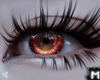 x Misa Helloween