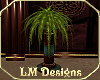 LMD Corporate Fern Plant