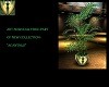 ACATHUS NOUVEAU FERN