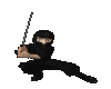 animated ninja