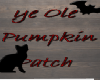 E~D Ye Ole Pumpkin Patch