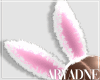 Bunny Ears White 2