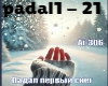 Ai306-padal sneg