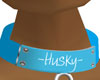 Husky Collar