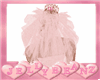 pink veil and crown