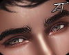 |Z| Senpai Eyebrows