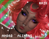 🌸; Noël Hair
