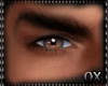 OX Asteri Eyes Brows