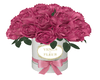 â¥ Venus La fleur WP