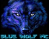 Blue Wolf Mc Banner