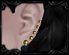 \/ Gold Stud Earrings