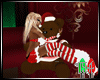 Christmas Teddy w/Poses