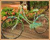 ZY: Spring Love Bike