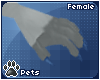 [Pets] Polar | claws