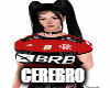 Camisa do flamengo
