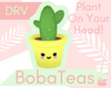 DRV Cactus Cutie Head F