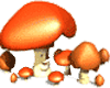 Mushroom Family