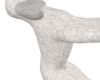 white poodle