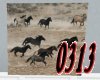 Wild Horse Picture 3