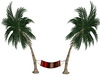 Hammock/Palm Tree
